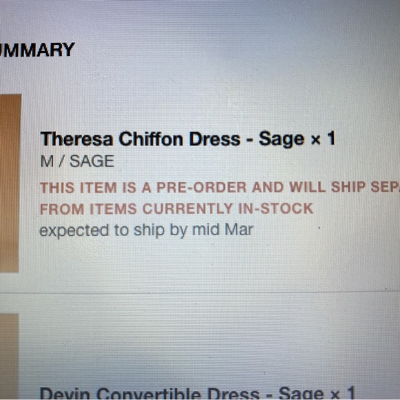 Birdy Grey Theresa Chiffon Bridesmaid Dress - Sage (hemmed; has pockets) - Picture 16 of 16